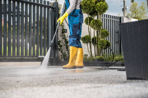Best Driveway Pressure Washing  in Edgewater, MD