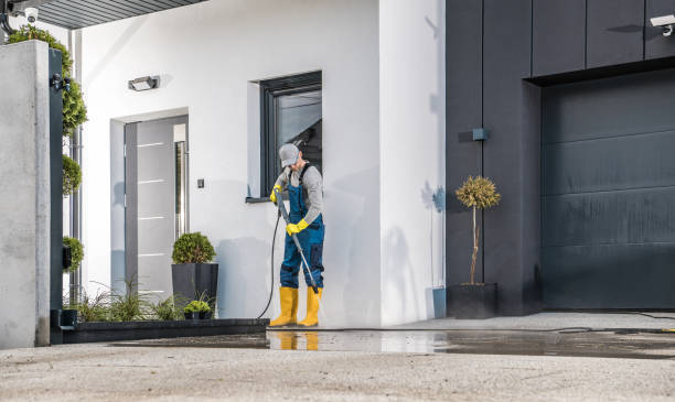 Best Solar Panel Cleaning  in Edgewater, MD